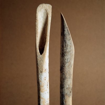 Prehistory: Tools to Remove Bark from Shin Bones of Goat and Sheep from the Necropolis of Arene Candide by Prehistoric Prehistoric
