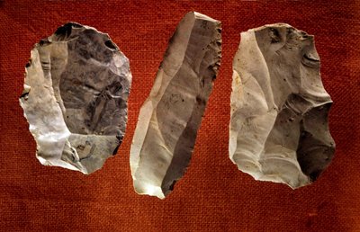Prehistory: unpolished carved axes. Neolithic era. Saint Germain en Laye, Museum of National Antiquities by Prehistoric Prehistoric