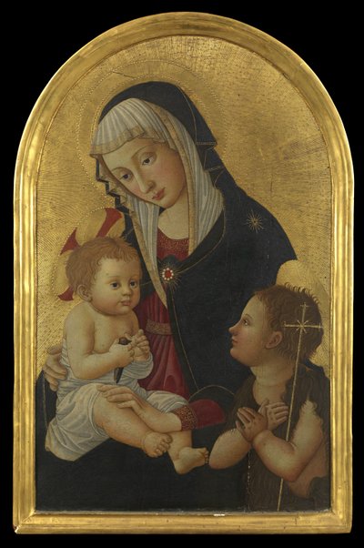 Virgin and Child with a Goldfinch and the Infant Saint John by Pseudo Pier Francesco Fiorentino