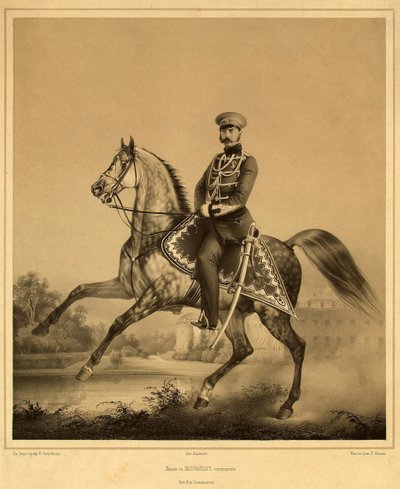 Portrait of Emperor Alexander II by Pyotr Fyodorovich Borel