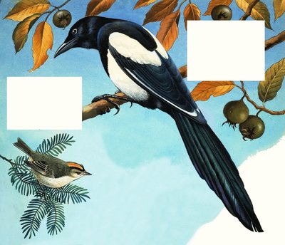 Magpie and Goldcrest by R.B. Davis