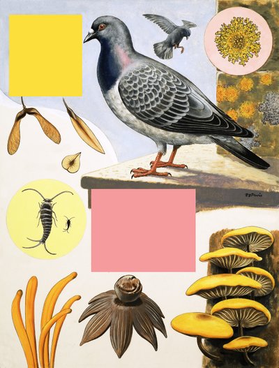 The Countryside in December by R.B. Davis