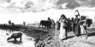 A Chaussee in the Delta, at the time of the flood by R. Brandamour