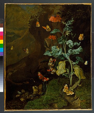 A still life with flowers, butterflies and a lizard in a dell by Rachel Ruysch