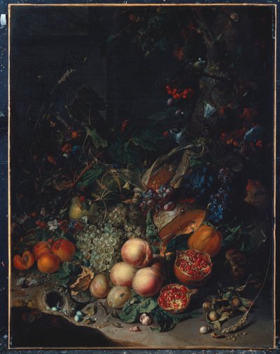 Peaches, Grapes, Pomegranates, Melons, a Corncob, Apricots, Plums, Pears, Acorns by Rachel Ruysch
