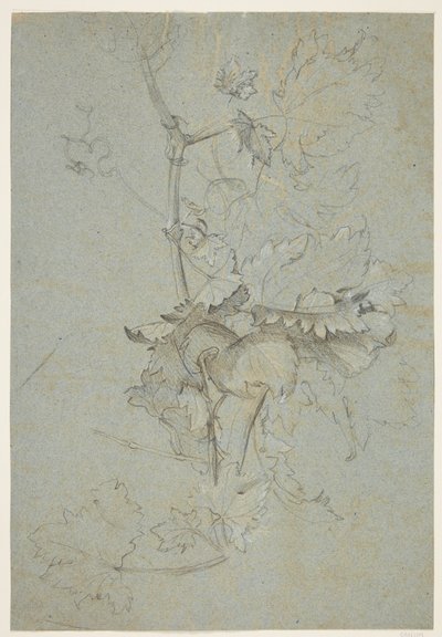 Plant Study by Rachel Ruysch