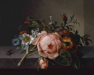 Still Life with Rose Branch, Beetle and Bee by Rachel Ruysch