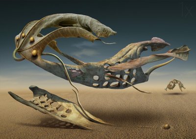 Floating Desert Forms by Radoslav Penchev