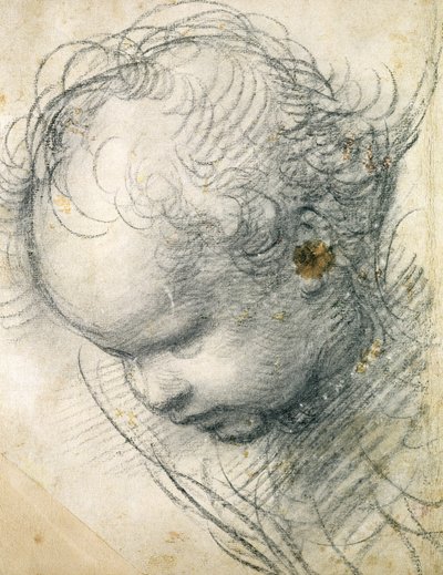 Head of a Cherub by Raffaello Sanzio Raphael