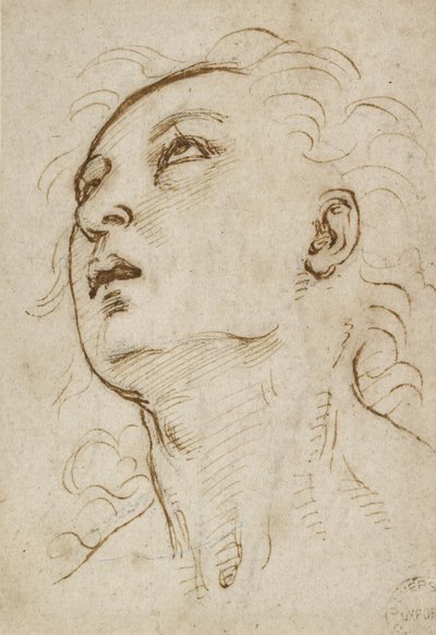 Head of a Young Man Gazing Upwards, c. 1497-1504 by Raffaello Sanzio Raphael