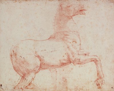Study for Marble Horse of the Quirinal by Raffaello Sanzio Raphael