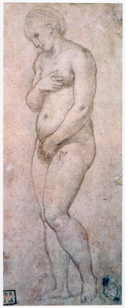 Study of Venus by Raffaello Sanzio Raphael