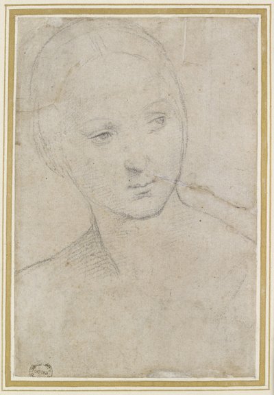Study of the Head of a young Woman by Raffaello Sanzio Raphael