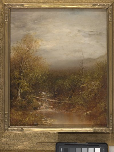 Pool In The Adirondacks by Ralph Albert Blakelock