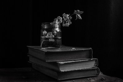 Moody Blooms on Books by Ramiz Sahin