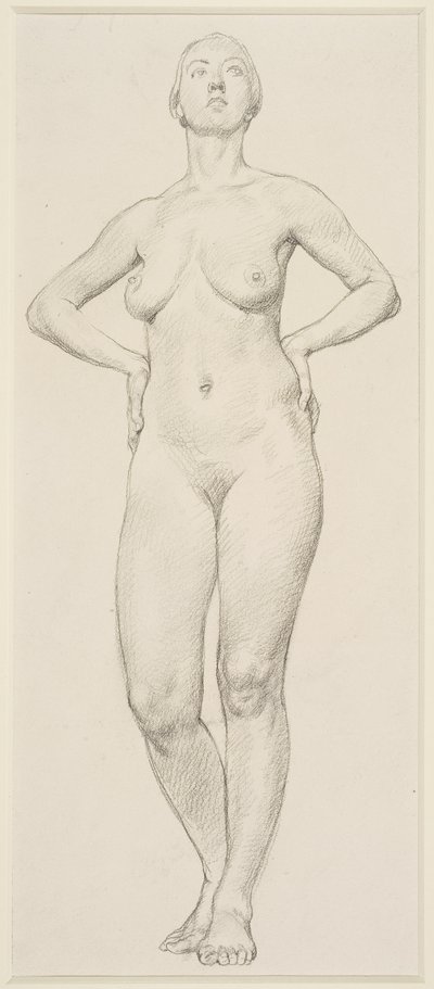 A Study of a Female by Randolph Schwabe