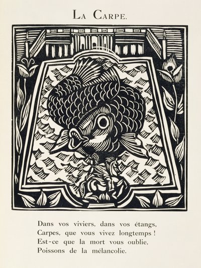 The Carp, Illustration from 