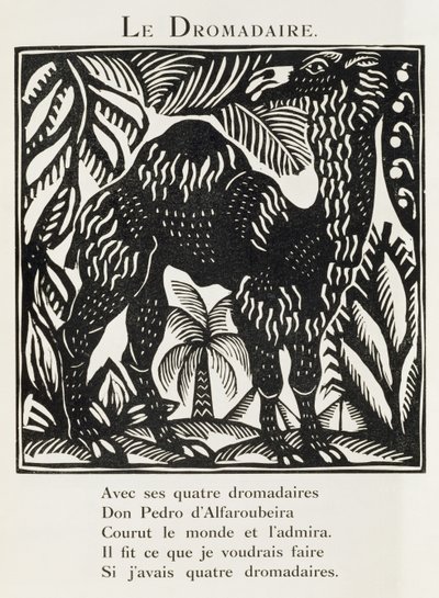 The Dromedary, Illustration from 