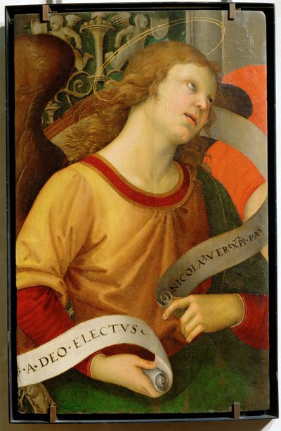 Angel by Raphael (1483-1520)