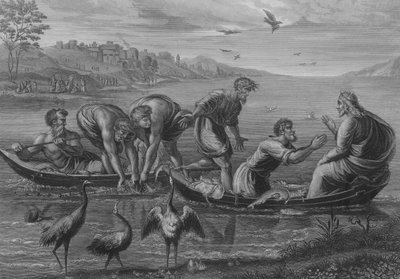 The Miraculous Draught of Fishes by after Raphael