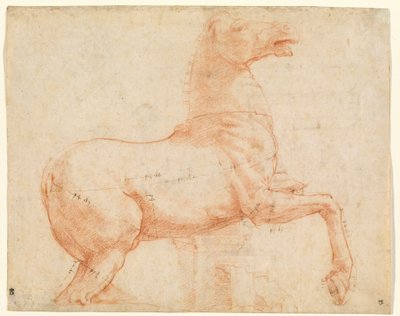 A Marble Horse on the Quirinal Hill (recto), c.1513 by Raphael (1483 1520)