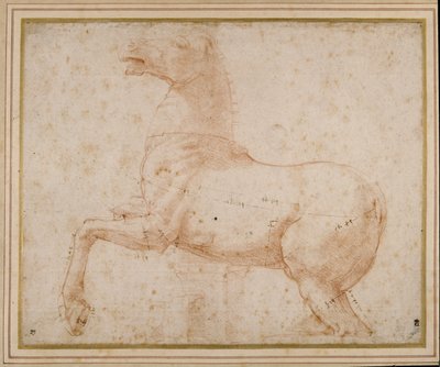 Study of a horse by Raphael