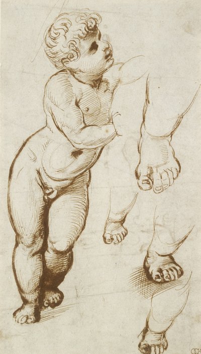 The Infant Christ and other Studies by Raphael