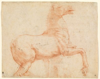 A Marble Horse on the Quirinal Hill by Raphael
