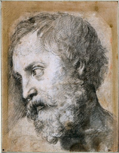 Head of An Apostle (detail) by Raffaello Sanzio Raphael