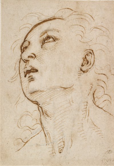 Head of a Young Man Gazing Upwards by Raphael