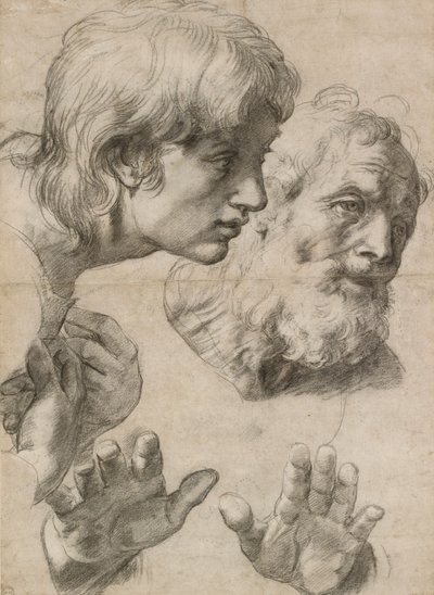 Studies of the Heads of Two Apostles and of Their Hands, 16th century by Raphael