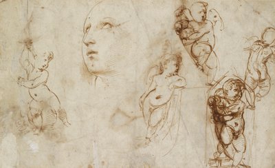 Various Studies, Chiefly for the Borghese-Beckford St Catherine by Raphael