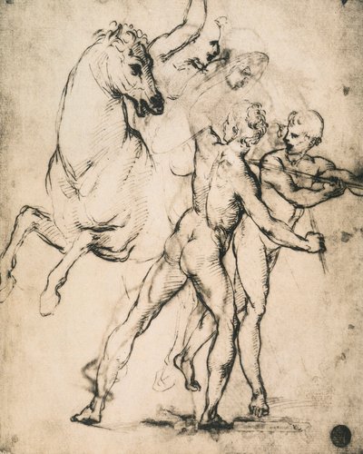 Male Nudes with a Horse by Raffaello Sanzio Raphael