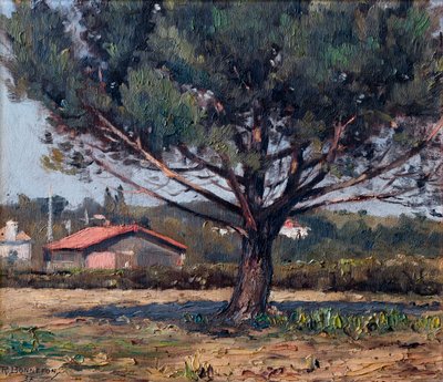 Pine by Raymond Bonnefon