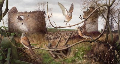 Fieldfares at Eccup, West Yorkshire by Raymond Booth