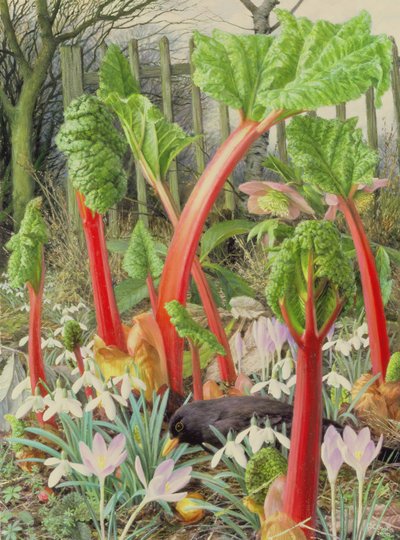 In the Rhubarb Patch, 2000 by Raymond Booth