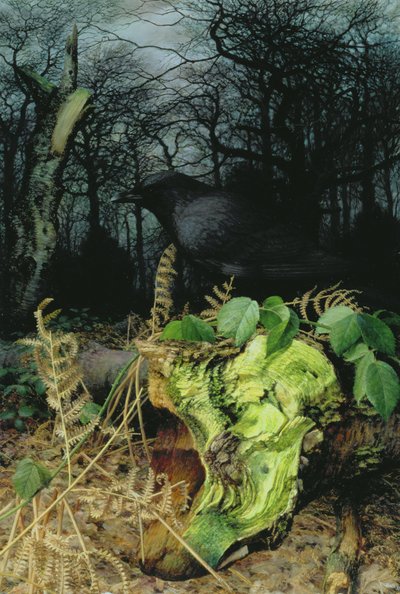 Midwinter in the Woods by Raymond Booth