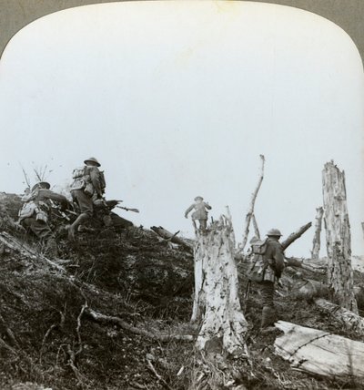 Assault in Trones Wood, Somme, France, World War I by Realistic Travels Publishers