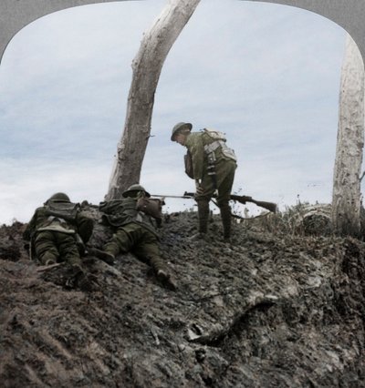 Battle of Polygon Wood, Near Ypres, Flanders, Belgium, World War I by Realistic Travels Publishers