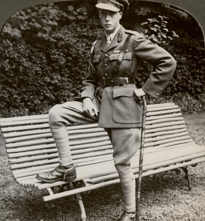The Prince of Wales in military uniform, France, World War I, 1914-1918 by Realistic Travels Publishers