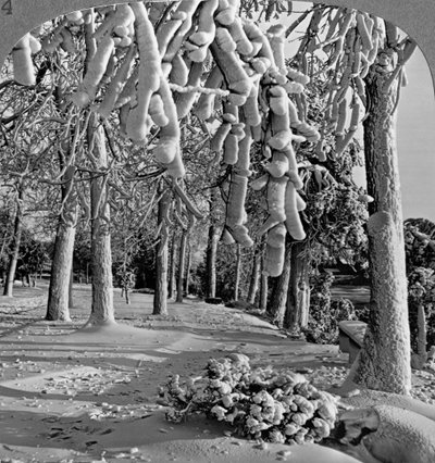 Winter Scene, Goat Island, Niagara Falls, New York, USA by Realistic Travels Publishers