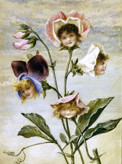 Geranium & Sweet Pea- Flower Children- a pair by Rebecca Coleman