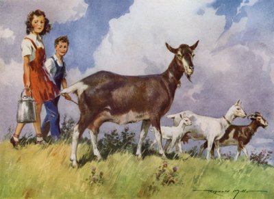 Illustration for My Farm by Reginald Mills