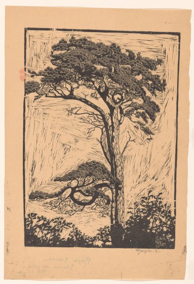 Pine Tree by Reijer Stolk (signed by artist)
