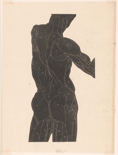 Anatomical Study of the Back and Gluteal Muscles of a Man in Silhouette by Reijer Stolk