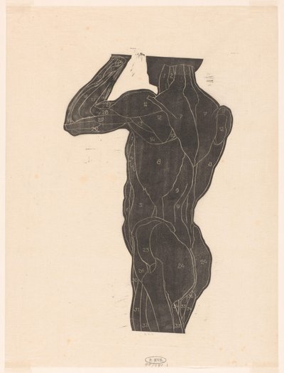 Anatomical Study of the Back and Gluteal Muscles of a Man in Silhouette by Reijer Stolk