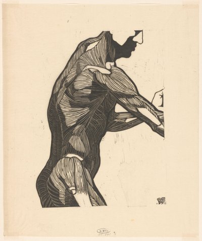 Anatomical study of the side and arm muscles of a man by Reijer Stolk
