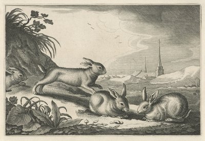 Dune Landscape with Rabbits (Diversa Animalia Quadrupedia) (series title) by Reinier van Persijn