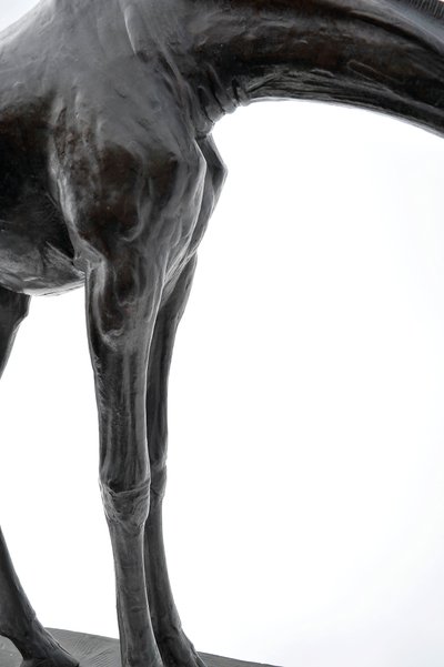 Large Giraffe with Lowered Head, modeled 1909-10, cast before 1913 by Rembrandt Bugatti