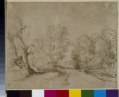 A wooded road, c.1650 by Rembrandt Harmensz. van Rijn